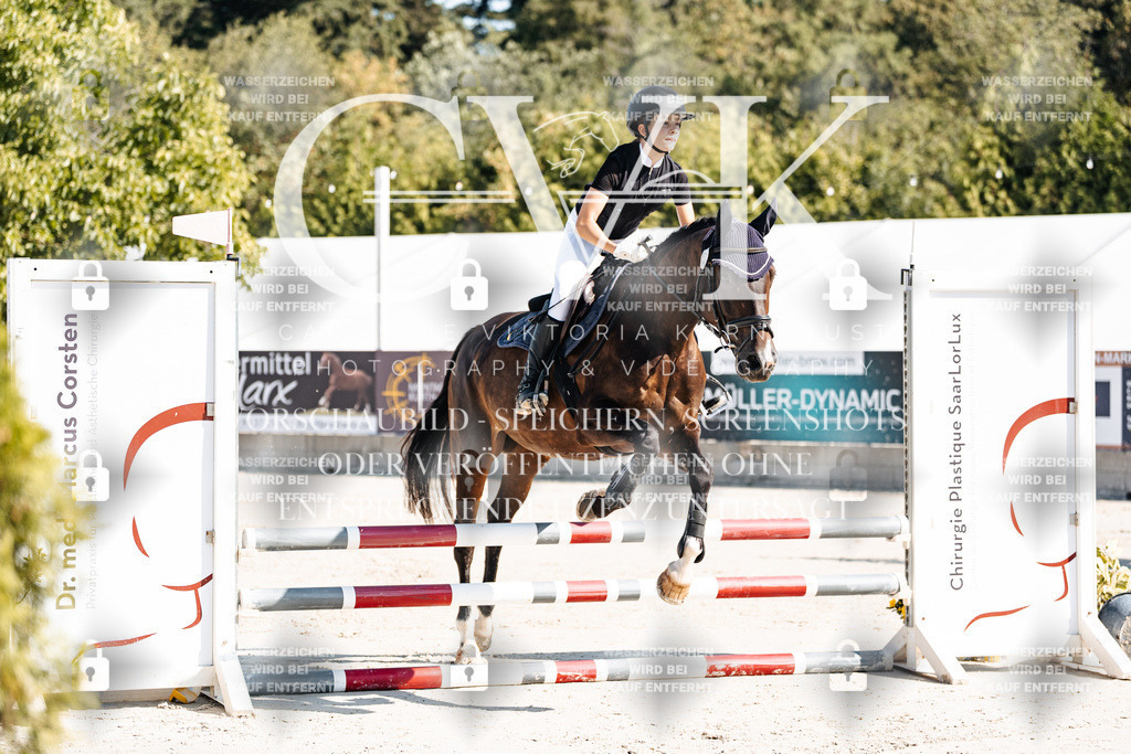 CK904980 | Turnierfotografie Pferdefotografie Trier Rheinland-Pfalz Pferdesport Reitsport Tierfotografie Sportfotografie Pferdevideo Pferdevideografie Equestrianvideography equestrianphotography  - Realisiert mit Pictrs.com