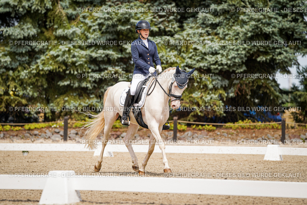 DSC04387 | Pferdegrafie