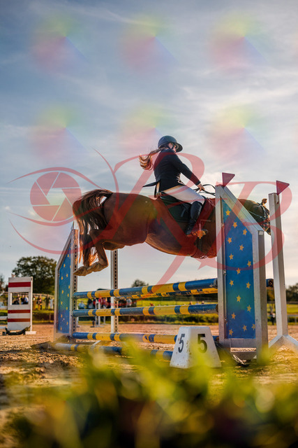 2026_10_03_Siefer-Hof_171655_Z63_21994454 | Professionelle Reitsport-, Turnier- und Eventfotografie von Robert Broda. Galerien mit ausgewählten und bearbeiteten Bildern direkt online ansehen und bestellen.