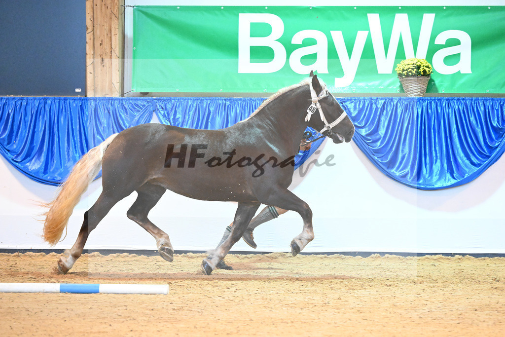 Kat-Nr. 48 Ute_Mayr_53220056 | hf-fotografie - Realisiert mit Pictrs.com