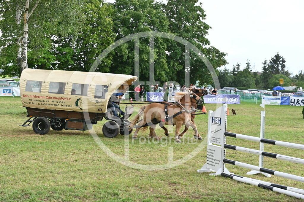 DSC_4538 | sattelsport - Realisiert mit Pictrs.com