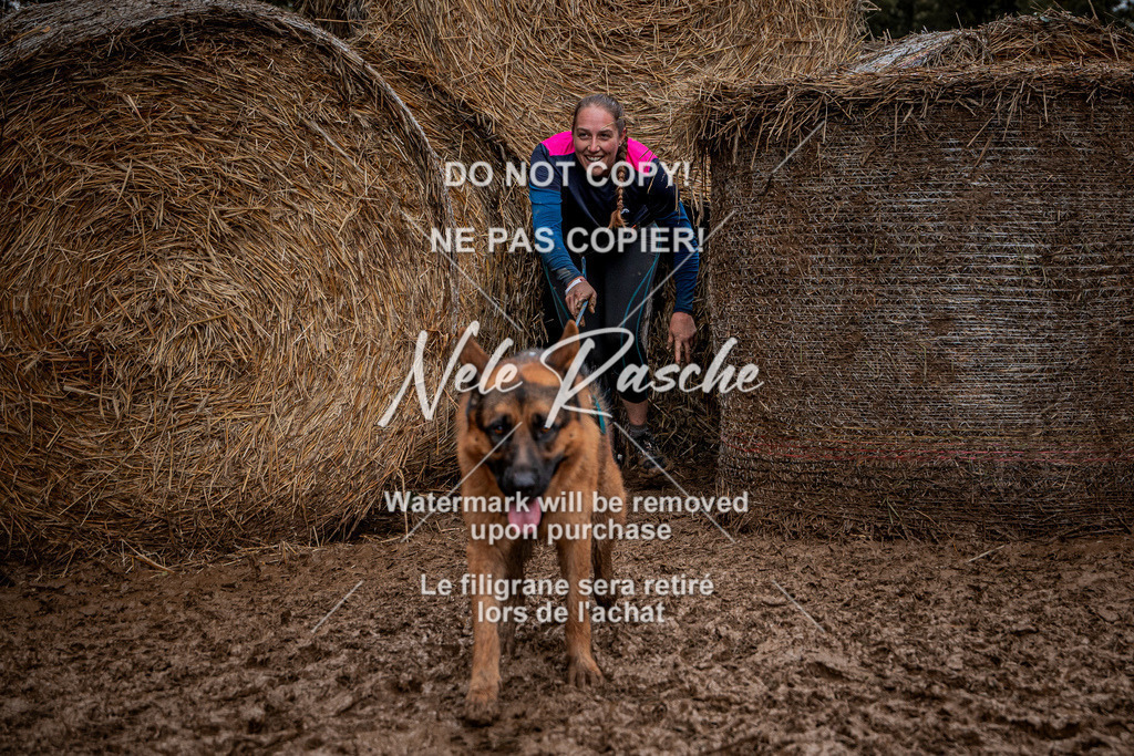nelerasche_Hunsrück_So11-12_132 | nelerasche