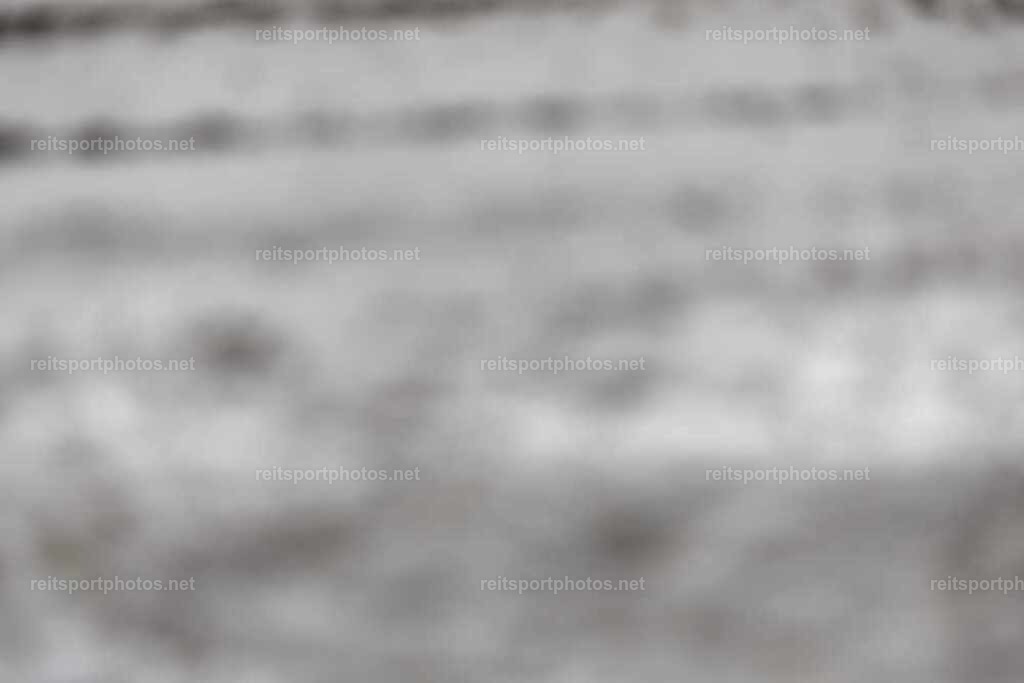 JoYaR3_Heidehof_00148 | JoYa Fotografie - Realisiert mit Pictrs.com