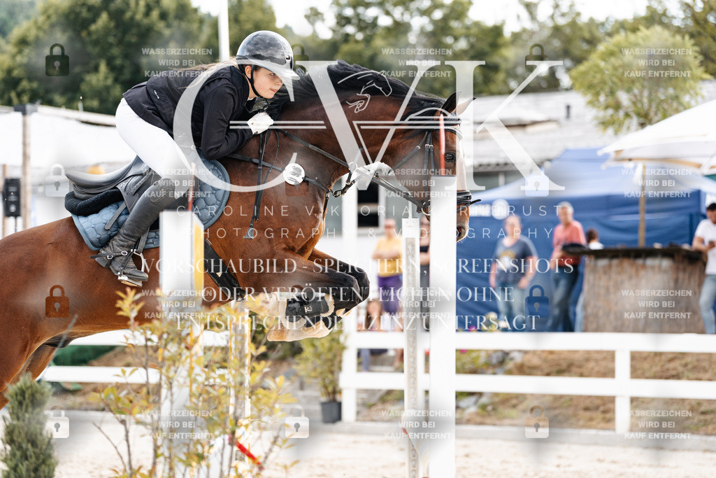 CK902580 | Turnierfotografie Pferdefotografie Trier Rheinland-Pfalz Pferdesport Reitsport Tierfotografie Sportfotografie Pferdevideo Pferdevideografie Equestrianvideography equestrianphotography  - Realisiert mit Pictrs.com