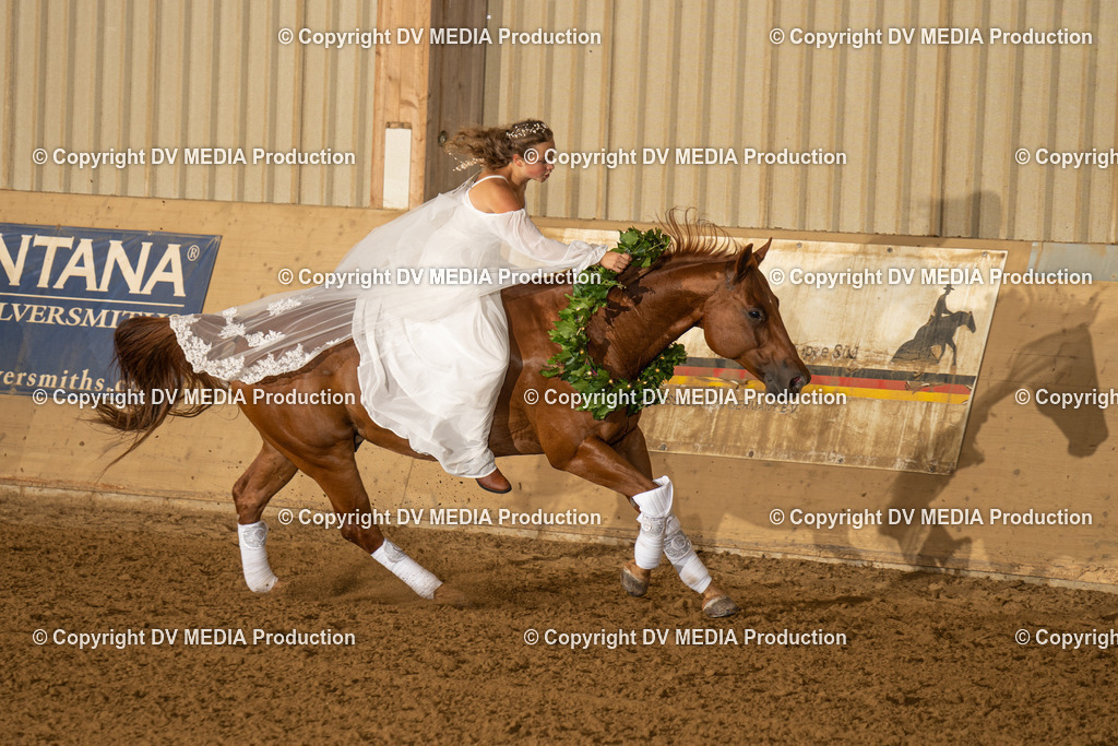 LAU01201 | dv-media-shop - Realisiert mit Pictrs.com