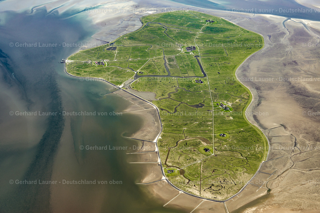 3801688 | Hallig Hooge, Nationalpark Schleswig-Holsteinisches Wattenmeer