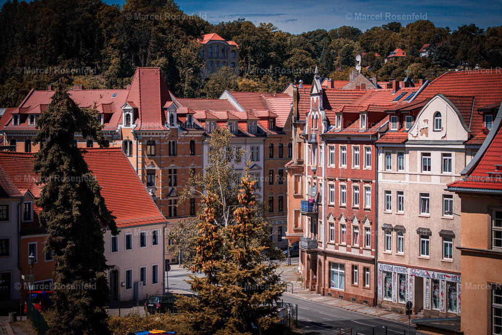 _DSC7137 | foto-rosenfeld