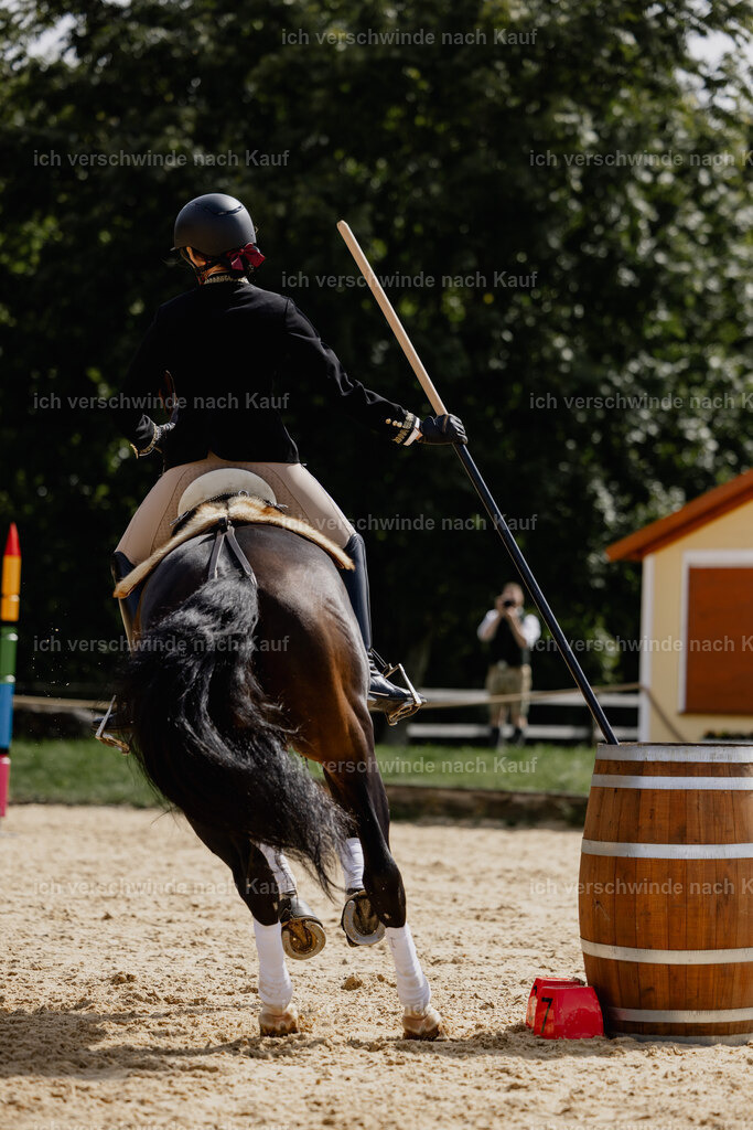 Virginie12FHC2025-20634 | working equitationturnier fotograf videograf stoibphotography marixx film working equitation deutschland reitsport turnierfotografie eventfotografie equestrian events