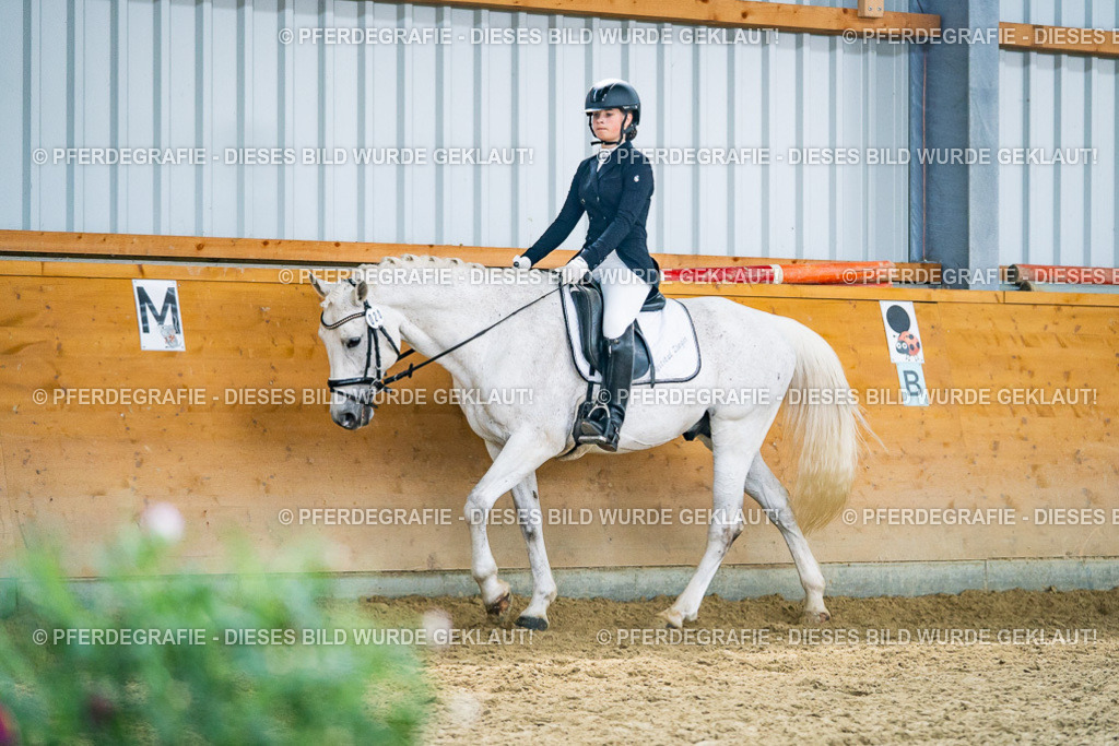 DSC04184 | Pferdegrafie