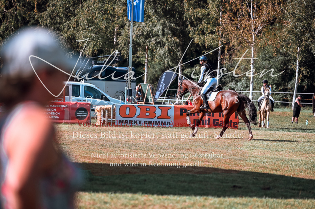 DSC_1076 | Pferde- und Turnierfotografie in Westsachsen. Pferdeportraits, Auftragszeichnungen und intuitive Kunst.