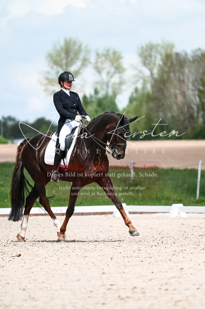 20230514_JK-Röhrsdorf-21-127 | Pferde- und Turnierfotografie in Westsachsen. Pferdeportraits, Auftragszeichnungen und intuitive Kunst.