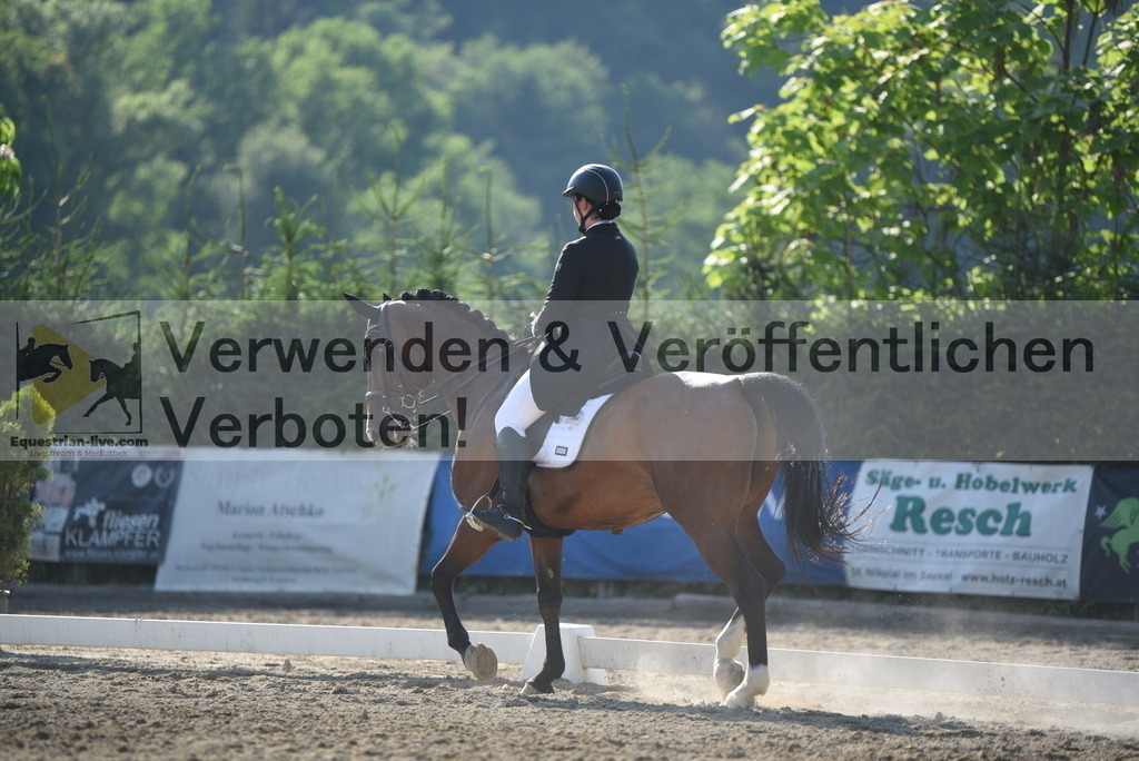 DSC_3077 | equestrian-live-com