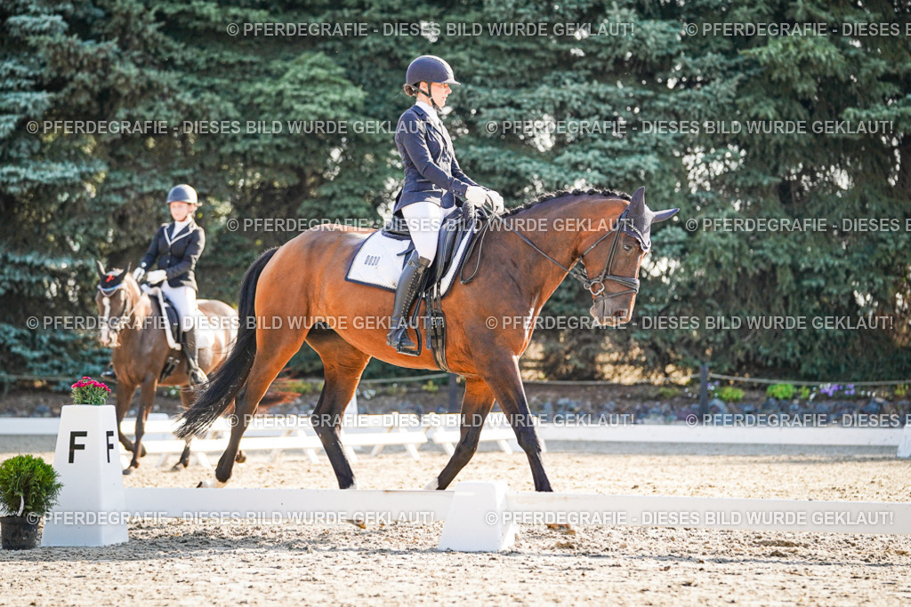 DSC08890 | Pferdegrafie