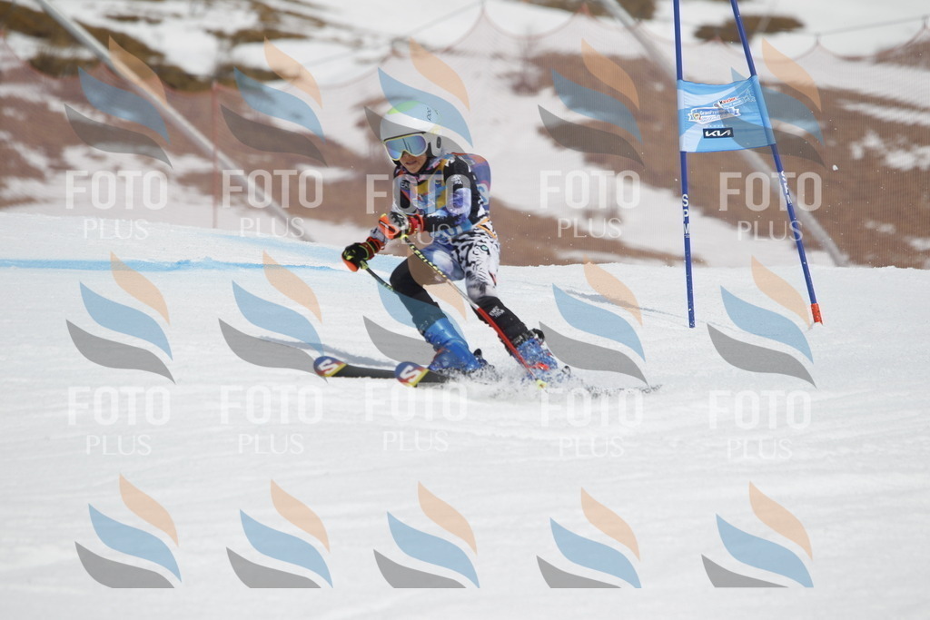 _U3G2363 | holidayphoto