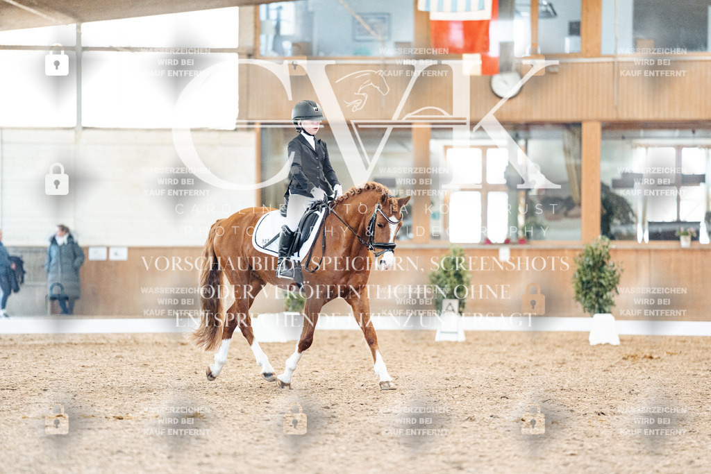 CK908148 | Turnierfotografie Pferdefotografie Trier Rheinland-Pfalz Pferdesport Reitsport Tierfotografie Sportfotografie Pferdevideo Pferdevideografie Equestrianvideography equestrianphotography  - Realisiert mit Pictrs.com