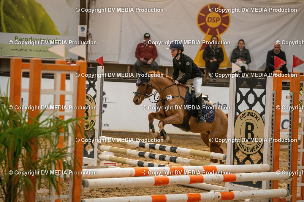 Kranichstein Tag 2-1024 | dv-media-shop - Realisiert mit Pictrs.com