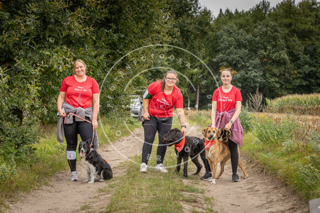 Pfotenfotografie_DV3A6622 | Hundefotografie, Tierfotograf, Pfotenfotografie, Fotoshooting Hund, Hunde Portrait, Hundesport, Hundeportraits, Heideshooting, Hunde, Sportfotograf, Hundefotograf, Turnierhundsport, THS,  - Realisiert mit Pictrs.com