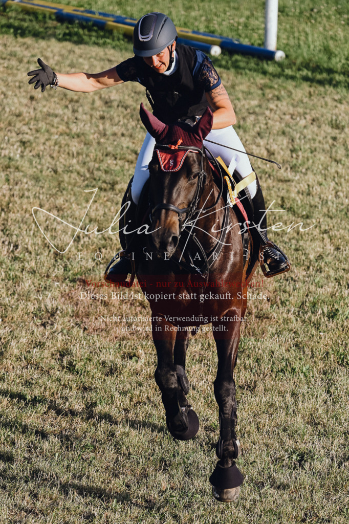 DSC_3300 | Pferde- und Turnierfotografie in Westsachsen. Pferdeportraits, Auftragszeichnungen und intuitive Kunst.