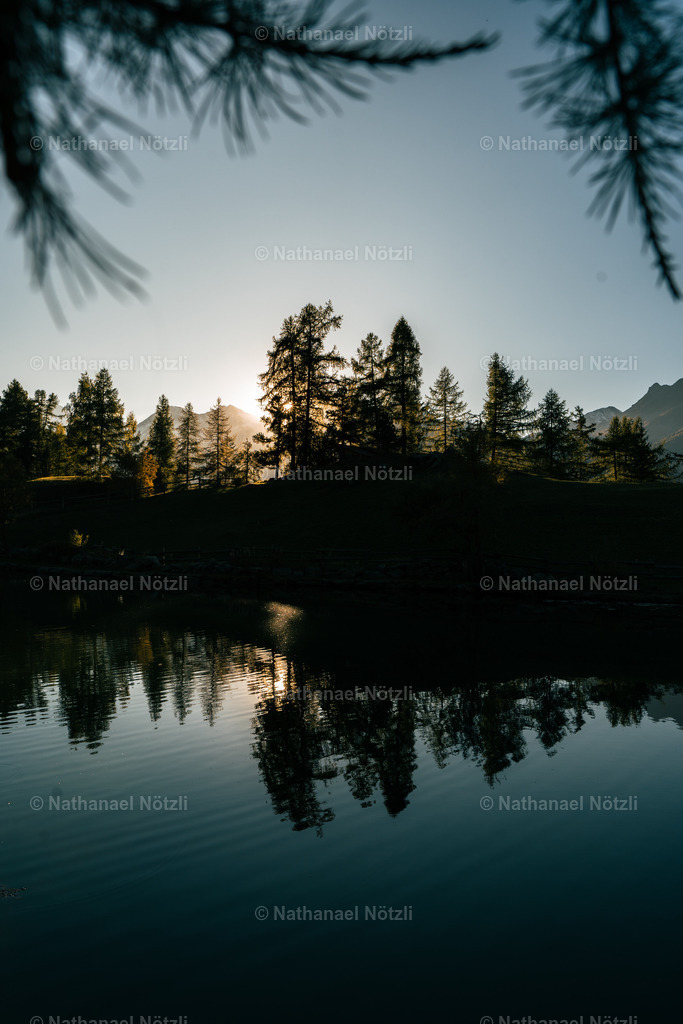 DSC04765 | Nathanael Nötzli - Realisiert mit Pictrs.com