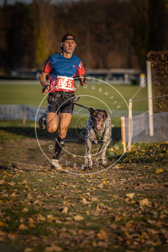 CaniXpix_DV3A3956 | Hundefotografie, Tierfotograf, Pfotenfotografie, Fotoshooting Hund, Hunde Portrait, Hundesport, Hundeportraits, Heideshooting, Hunde, Sportfotograf, Hundefotograf, Turnierhundsport, THS,  - Realisiert mit Pictrs.com