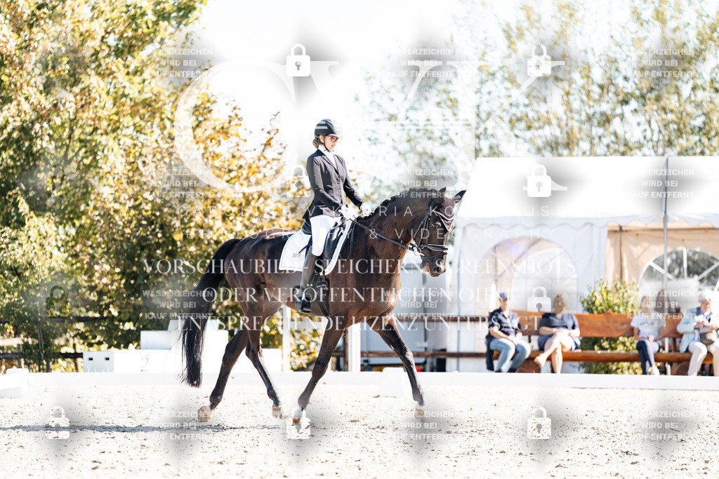 CK908951 | Turnierfotografie Pferdefotografie Trier Rheinland-Pfalz Pferdesport Reitsport Tierfotografie Sportfotografie Pferdevideo Pferdevideografie Equestrianvideography equestrianphotography  - Realisiert mit Pictrs.com