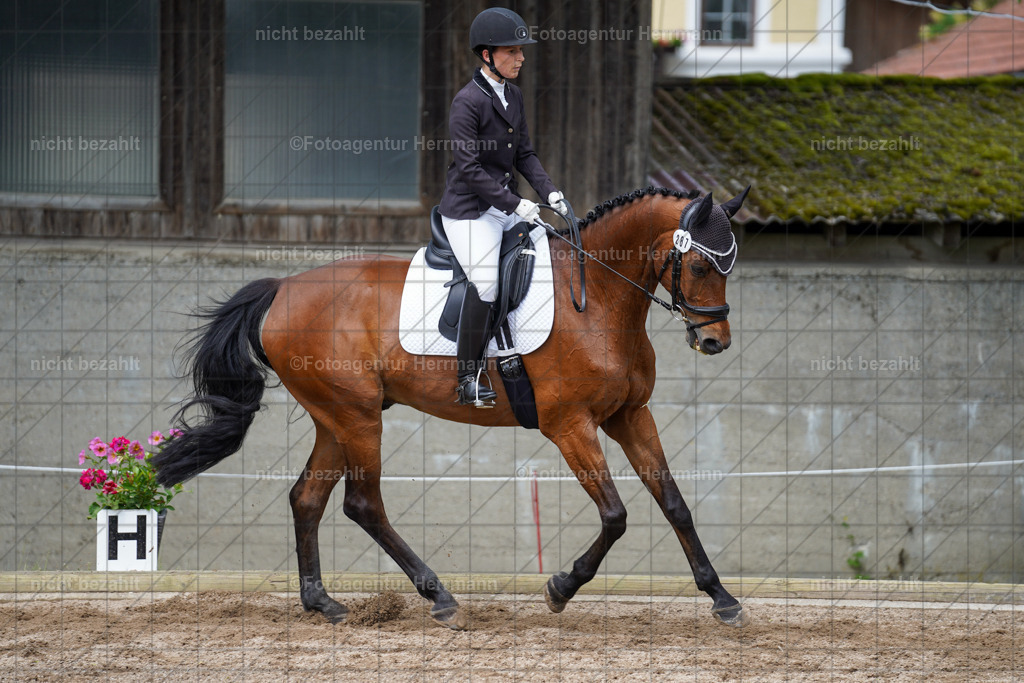 20240519-FAH04898 | Turnierbilder Niederseeon 2024, Vielseitigkeitsdressur, Reitsportbilder aus dem Landkreit Ebersberg, Gut Steinsee, RC Steinsee, Fotoagentur Herrmann