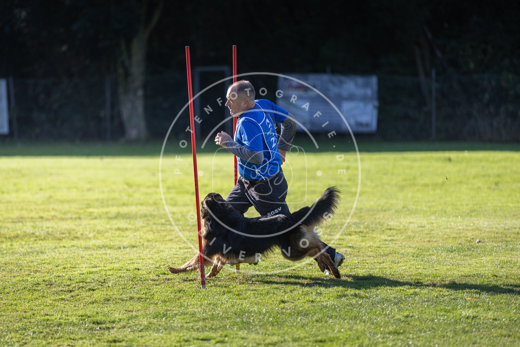 Pfotenfotografie.de_DV3A3327 | Hundefotografie, Tierfotograf, Pfotenfotografie, Fotoshooting Hund, Hunde Portrait, Hundesport, Hundeportraits, Heideshooting, Hunde, Sportfotograf, Hundefotograf, Turnierhundsport, THS, canicross - Realisiert mit Pictrs.com