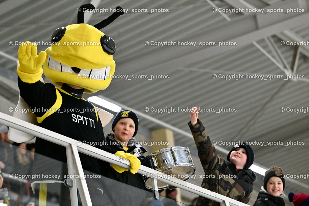 EC Spittal Hornets vs. ESC Steindorf 10.2.2024 | Maskottchen EC Spittal Hornets, EC Spittal Hornets Fans