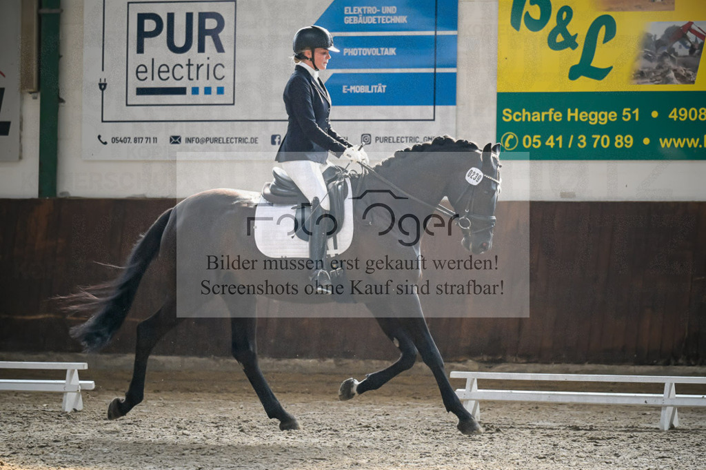 Reitturnier Voxtrup | Entdecke hochwertige Reitturnierfotos von Foto Oger. Professionell, emotional und authentisch – jetzt Lieblingsmomente im Shop bestellen.Deutschlandweite Turnierfotografie. - Realisiert mit Pictrs.com