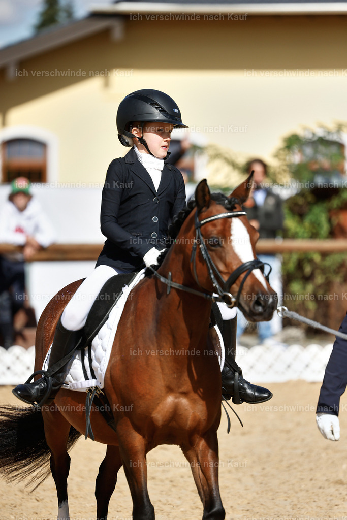01--Ponyführzügel -StoibPH-6671 | working equitationturnier fotograf videograf stoibphotography marixx film working equitation deutschland reitsport turnierfotografie eventfotografie equestrian events