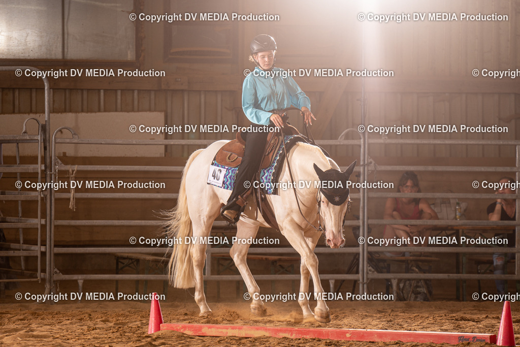 NID00845 | dv-media-shop - Realisiert mit Pictrs.com