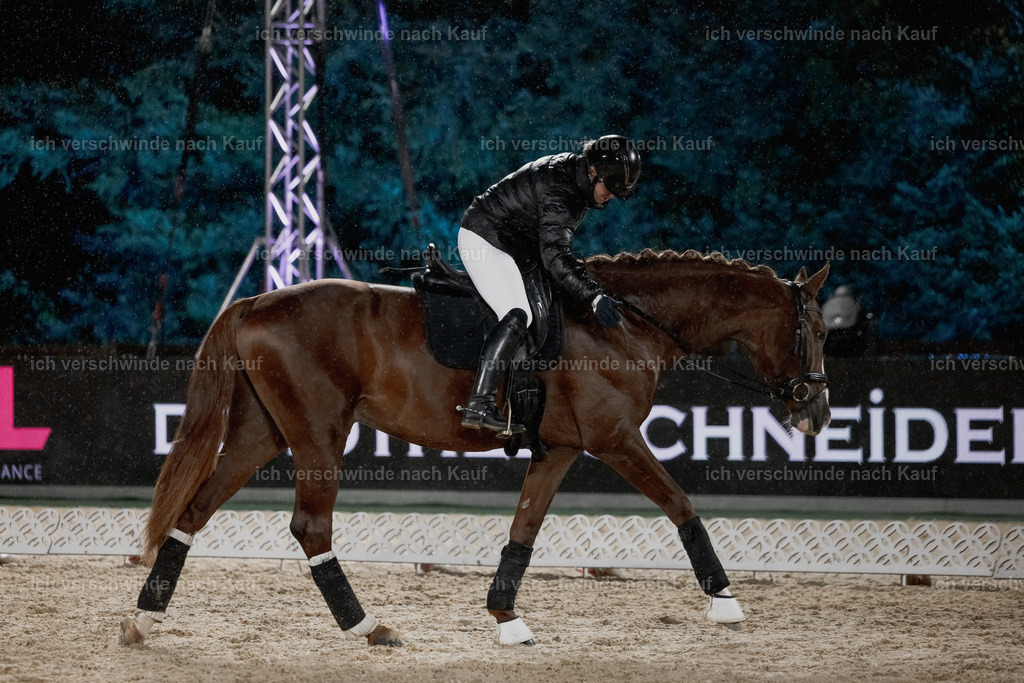 FHClassics-38 | working equitationturnier fotograf videograf stoibphotography marixx film working equitation deutschland reitsport turnierfotografie eventfotografie equestrian events