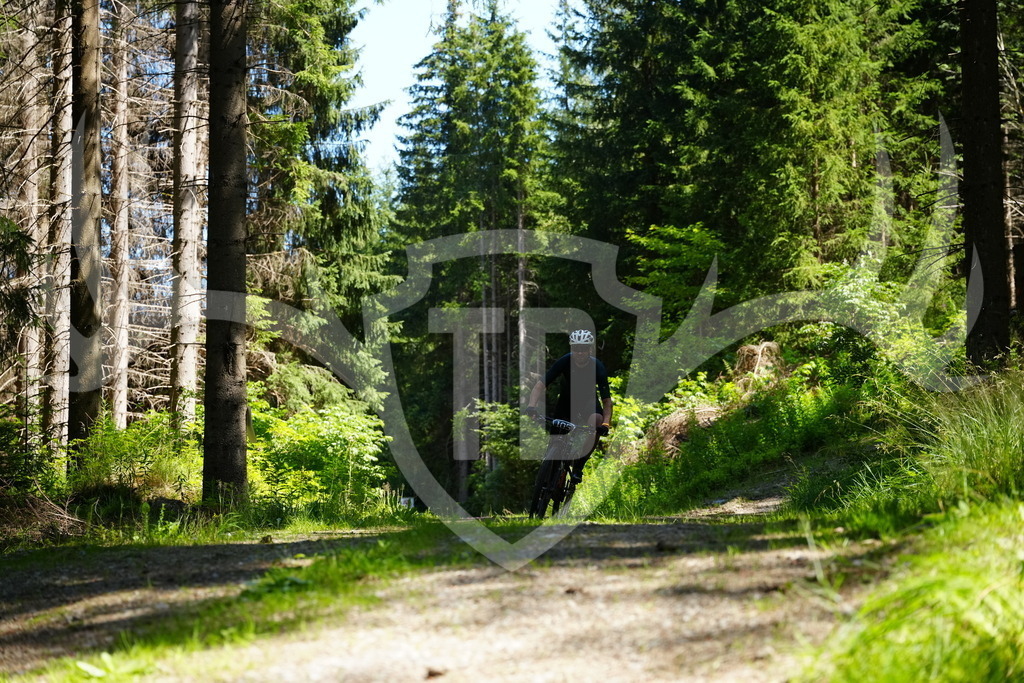 FC101450 | Fotogalerie der Treibjagd im Dunkelwald - Dein MTB Etappenrennen im Erzgebirge - Realisiert mit Pictrs.com