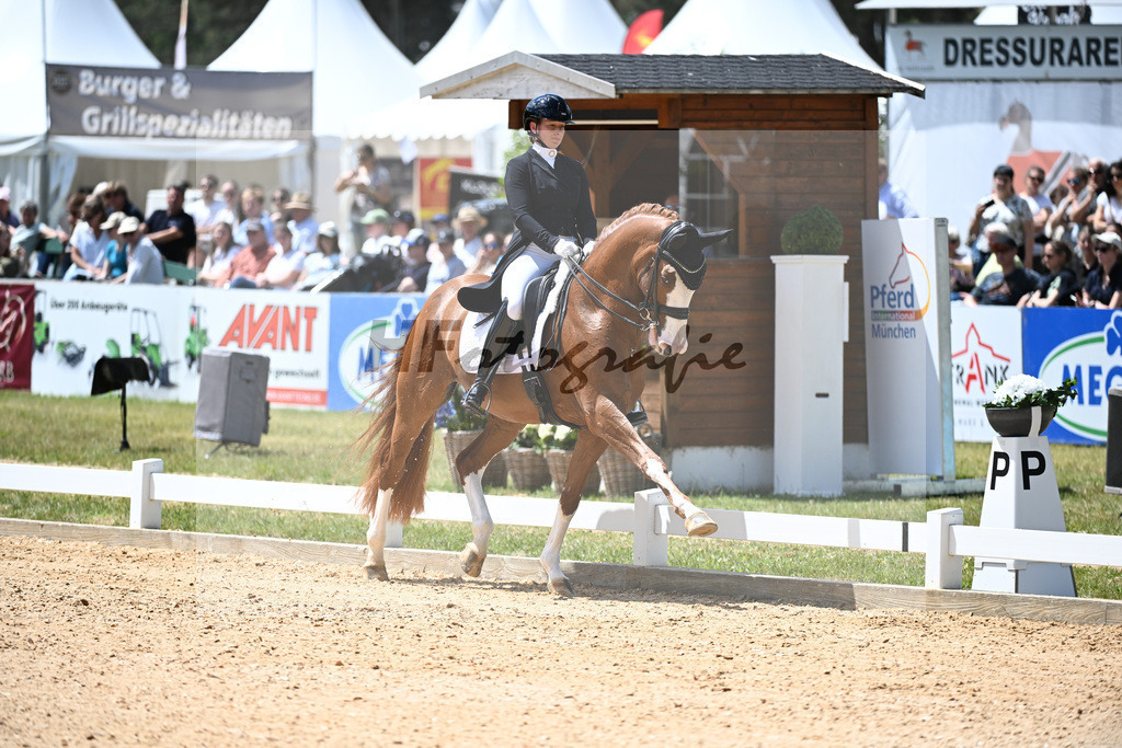 Harsdorf_Daydream d Arion_11252887 | hf-fotografie - Realizzato con Pictrs.com
