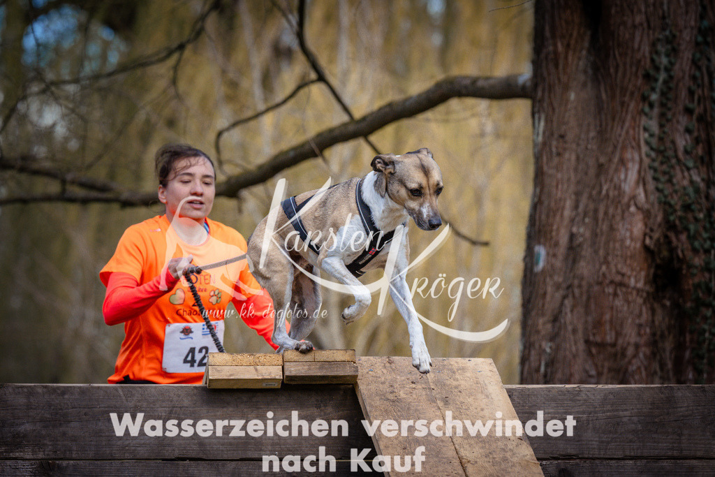 1033_ZZ97644 | kk-dogfotos