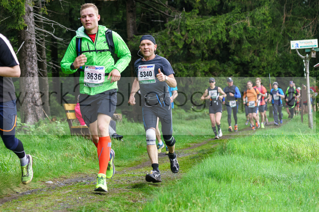 Rennsteiglauf 2017 | Neuhaus/Rwg. - Schmiedefeld am 19. Mai 2017