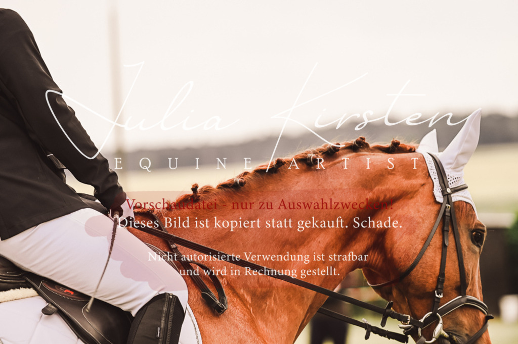DSC_5078 | Pferde- und Turnierfotografie in Westsachsen. Pferdeportraits, Auftragszeichnungen und intuitive Kunst.