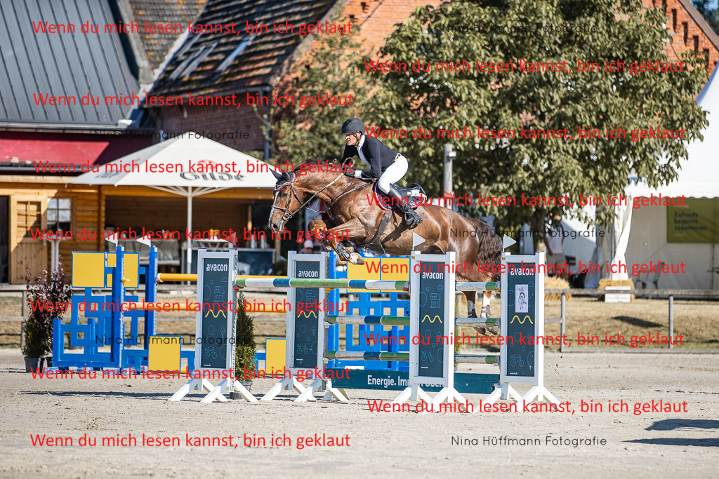 BK1A8573 | Turnierbilder Turnierfotos Nina Hüffmann Turnierfotografie Pferdefotografie Tierzeichnung Haustierzeichnung Pferdezeichnung Hundezeichnung Videograf  - Realisiert mit Pictrs.com