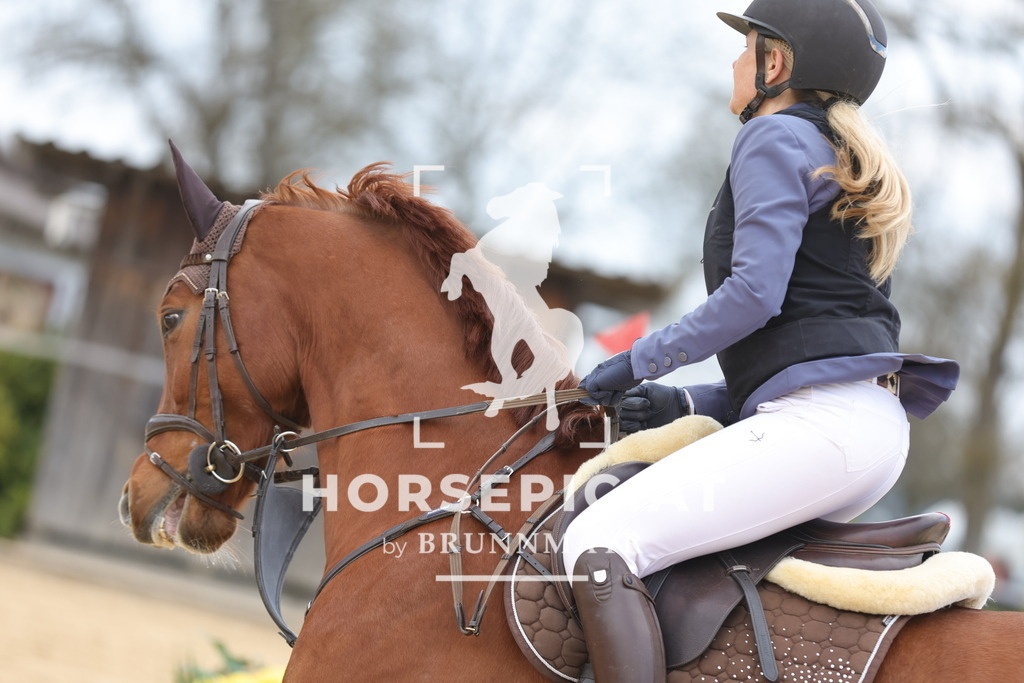 0P6A8051 | Willkommen bei Brunnmayr - Design & Fotografie – Ihrem Spezialisten für Reitturniere und Pferdeveranstaltungen in Oberösterreich, Salzburg und Bayern! Seit über 17 Jahren sind wir leidenschaftlich dabei.