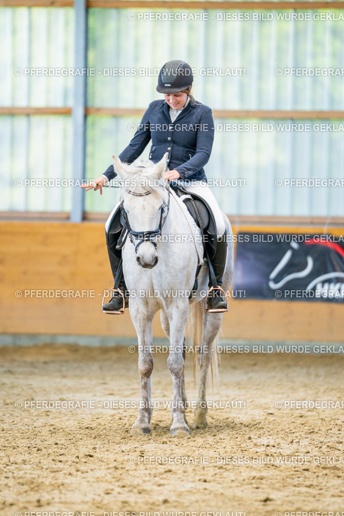 DSC07022 | Pferdegrafie