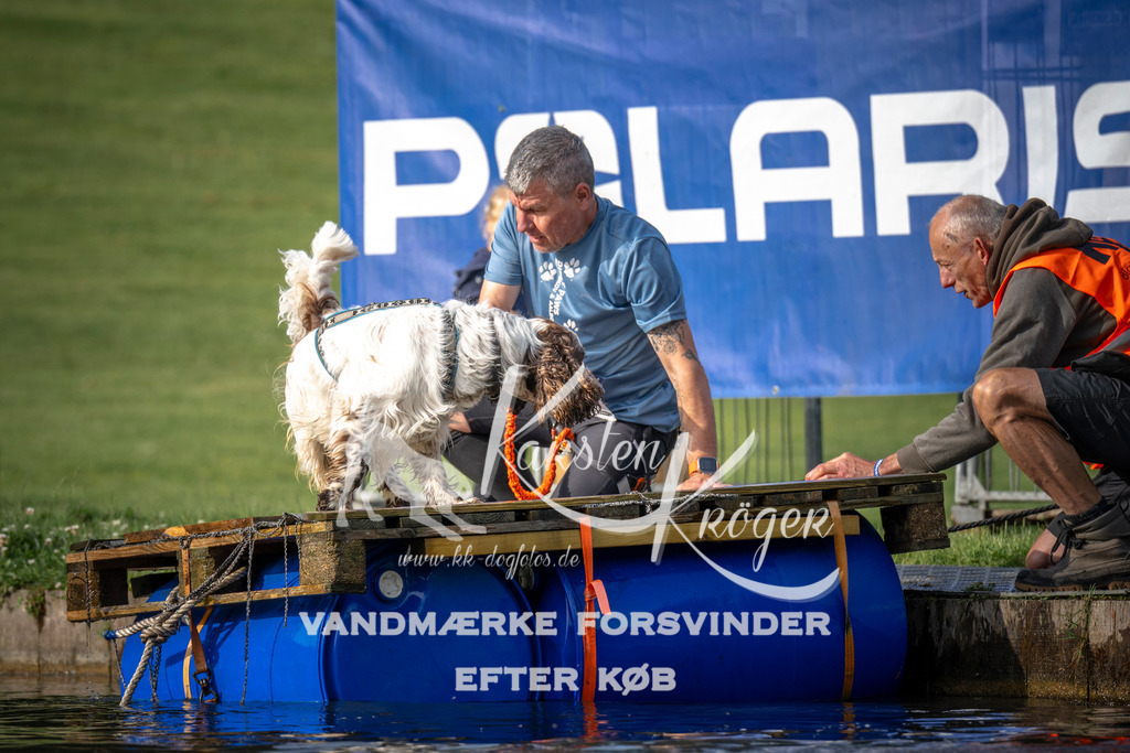 _ZZ936630707 | kk-dogfotos