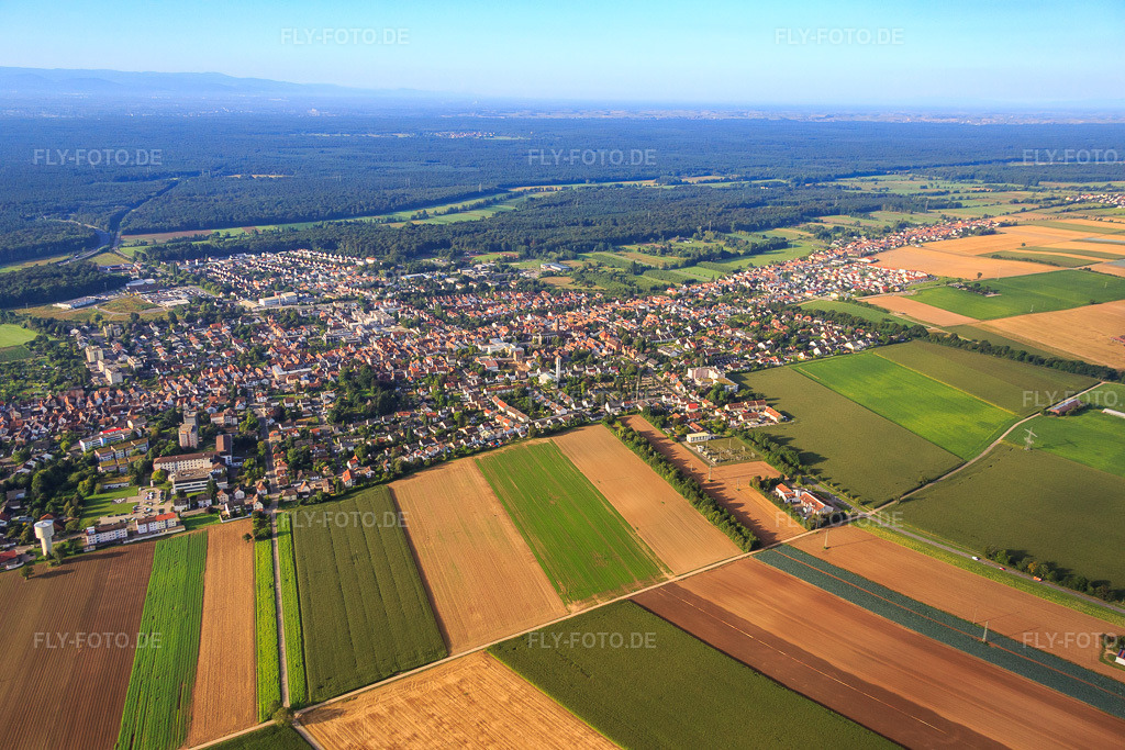 Luftbild: Stadtübersicht aus Norden in Kandel im Bundesland Rheinland-Pfalz in Deutschland. Foto: IMG_092839.jpg vom 13.08.2016 durch Werner Riehm/FLY-FOTO.de