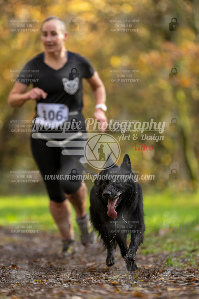 MompixPhotography_Bischwiller23_Canicross-72 | PayLife