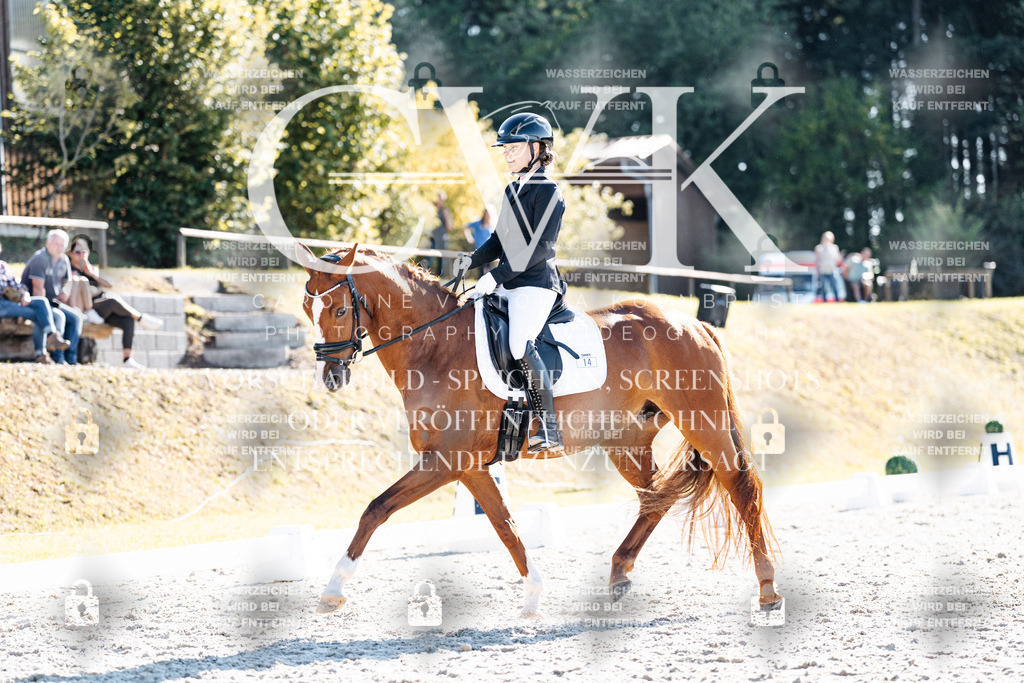 CK906061 | Turnierfotografie Pferdefotografie Trier Rheinland-Pfalz Pferdesport Reitsport Tierfotografie Sportfotografie Pferdevideo Pferdevideografie Equestrianvideography equestrianphotography  - Realisiert mit Pictrs.com