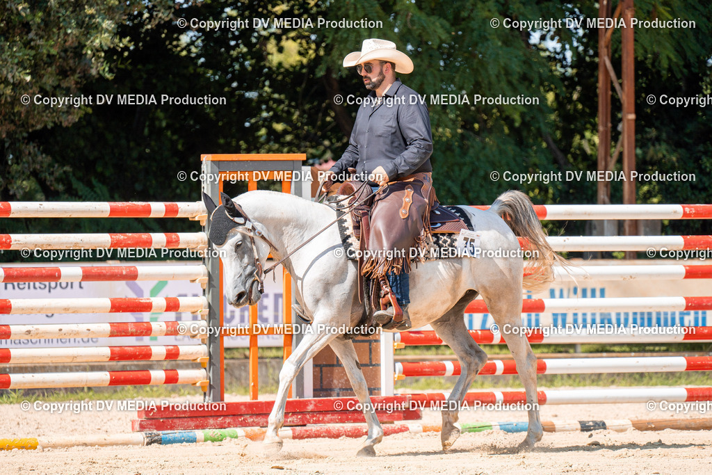 ZH100217 | dv-media-shop - Realisiert mit Pictrs.com