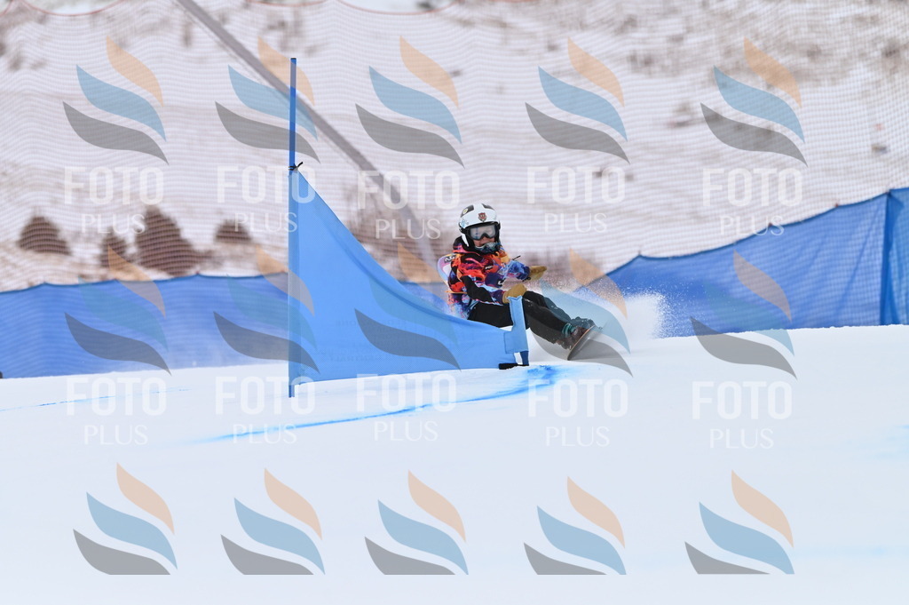 BGV_3866 | holidayphoto