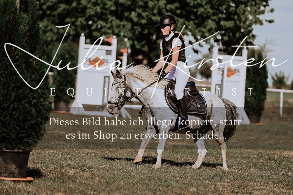 DSC_9446 | Pferde- und Turnierfotografie in Westsachsen. Pferdeportraits, Auftragszeichnungen und intuitive Kunst.