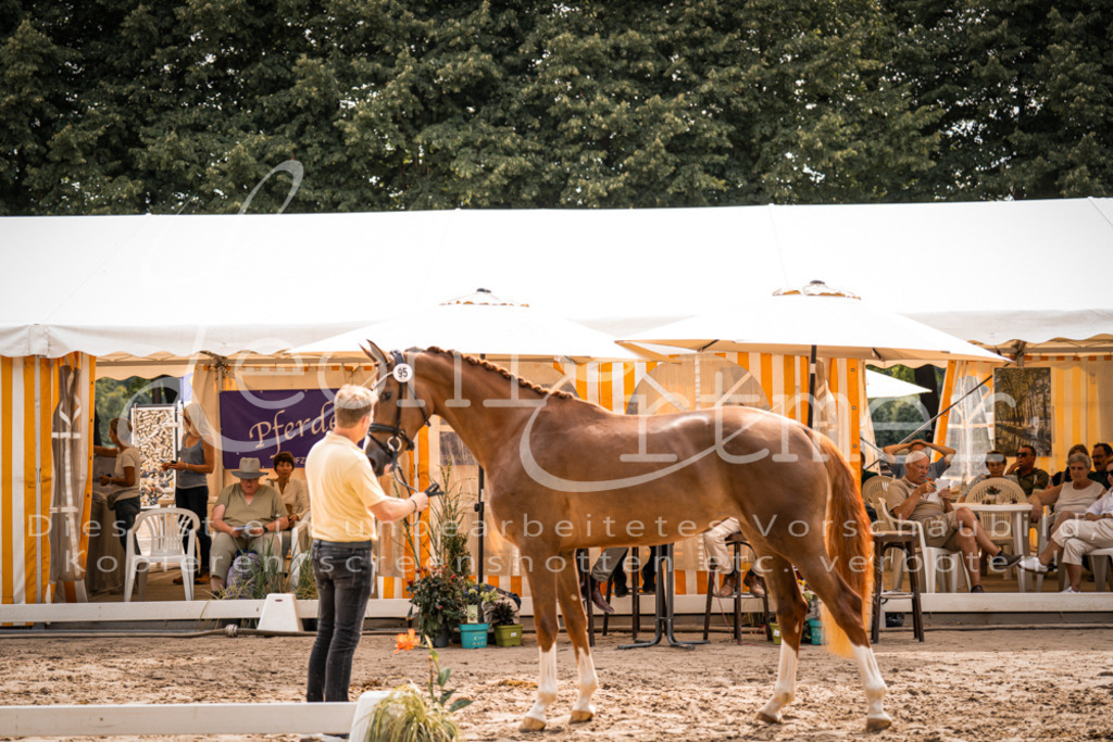 7.Fr00012 | Leoni Ertmer Photography - Realisiert mit Pictrs.com