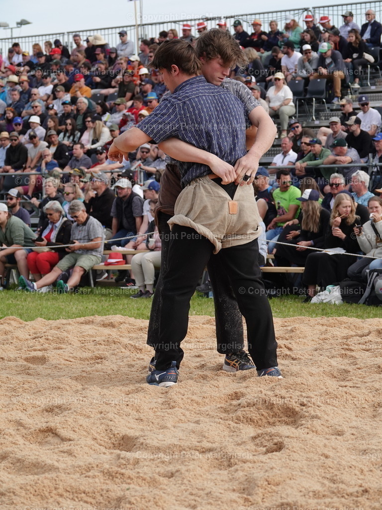 DSC06677 | Schwingen - Realisiert mit Pictrs.com