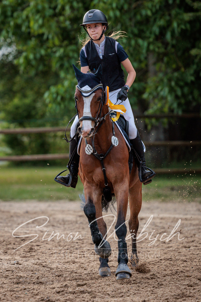 20260529-_3LI2210 | Tierfotografie Pferde, Hunde, Katzen, Haustiere.
Turnierfotografie Reitturniere, Reiten, Springreiten, Dressur in Hanau, dem Main-Kinzig-Kreis und dem Rhein-Main- Gebiet um Frankfurt